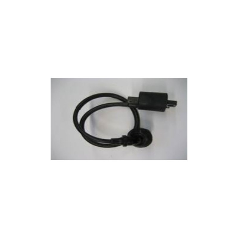 Bobine HT Oxokart 500