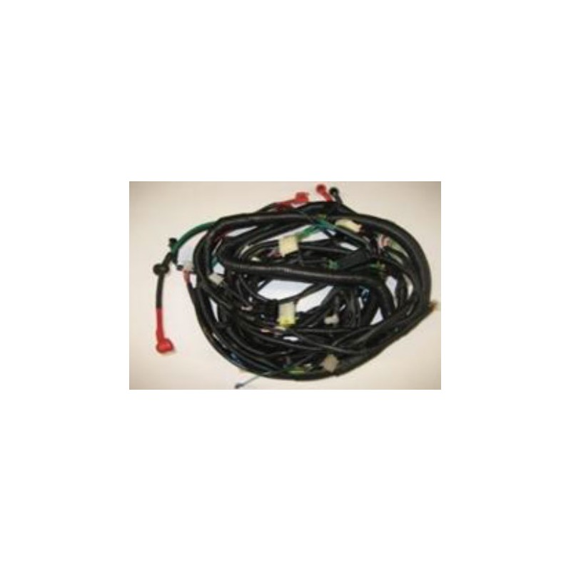 Faisceaux Electrique Oxokart 500