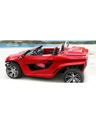 Oxospyder