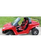 Buggy Occasion
