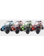 Buggy 400