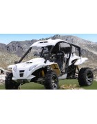 buggy oxokart 800