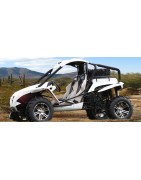 Buggy oxokart 700